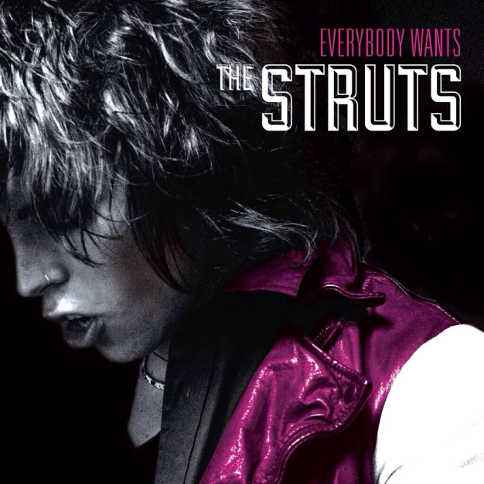 the-struts-everybody-wants484