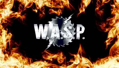 wasp logo484