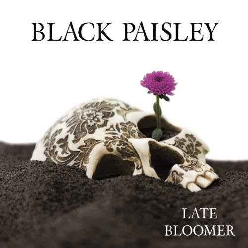 Black Paisley - Late Bloomer 3