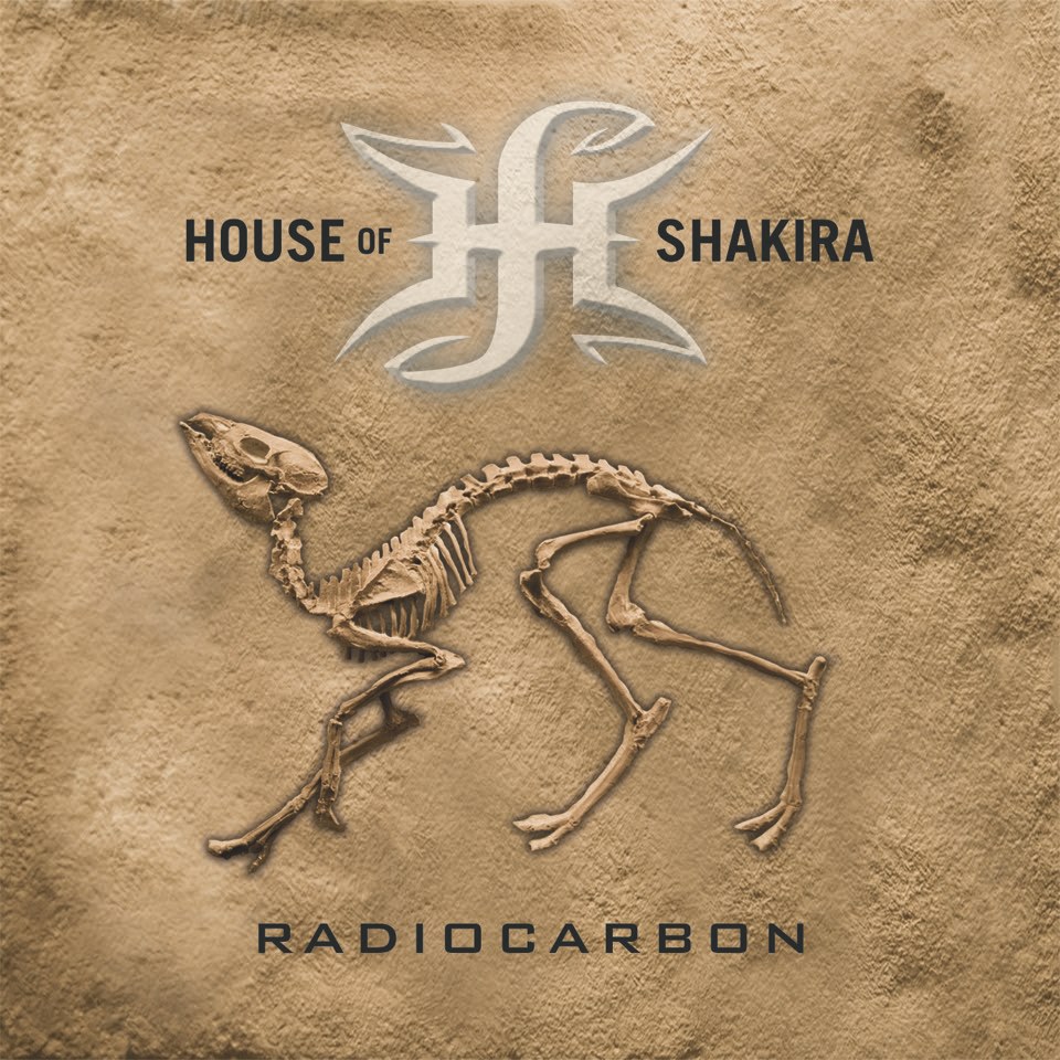 House Of Shakira släpper nytt album - avslöjar detaljer 4