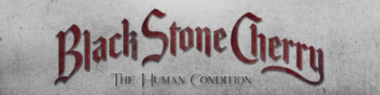 NY VIDEO: Black Stone Cherry – Again 1
