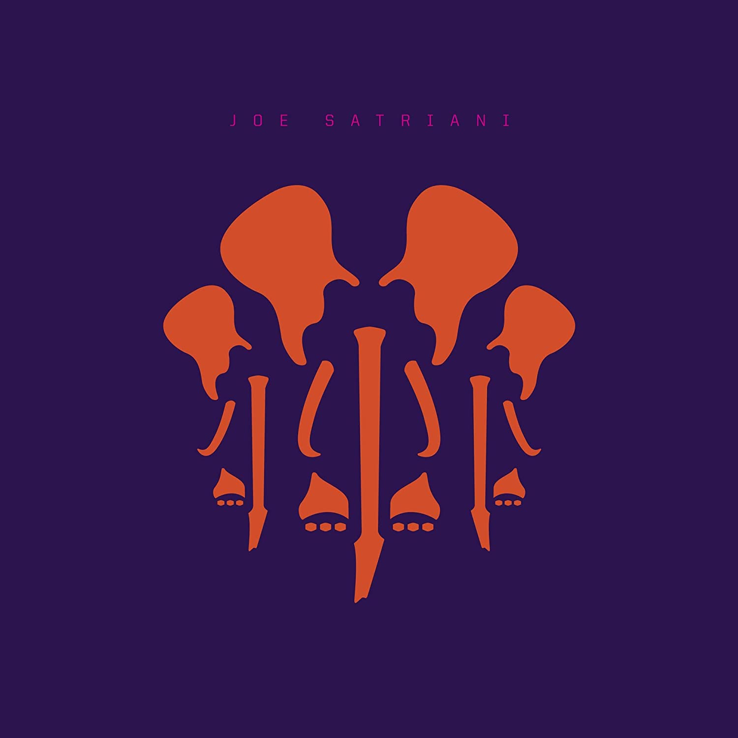 NY VIDEO: Joe Satriani - The Elephants Of Mars 1